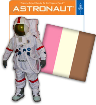 10 Wholesale Astronaut Space Ice Cream Neopolitan Flavor Freeze Dried